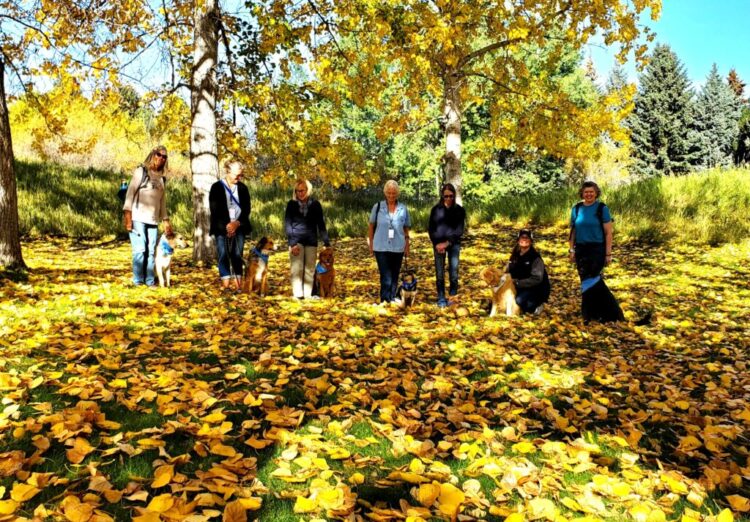 Therapy Dog Group in Autumn