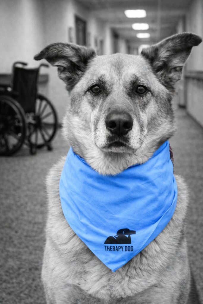 Therapy Dog at Visit